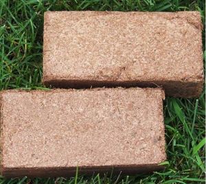 Brown Coir Pith Block