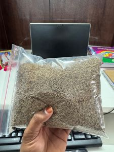 Brown Cumin Seeds
