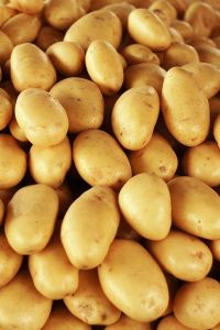 Fresh Potato