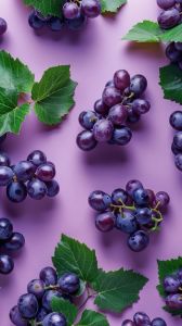 Fresh Seedless Black Grapes