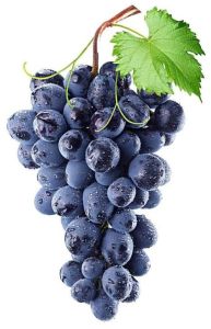 Fresh Seedless Black Grapes