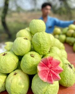 Fresh Guava