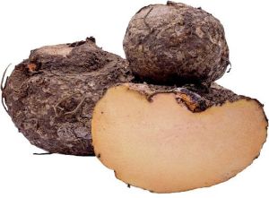 Elephant Foot Yam