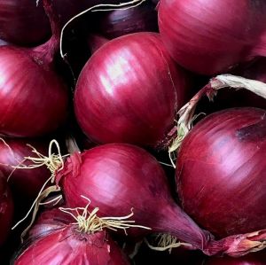 Organic Fresh Red Onion