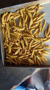 Turmeric Finger