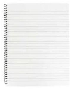 100 Pages Premium Ruled Daily Writing Notebook