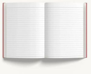 48 Pages Standard School Writing Soft Cover Notebook