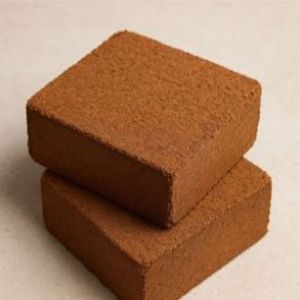 Square Brown Washed Cocopeat Block