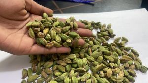 7mm Rejection Green Cardamom Seeds