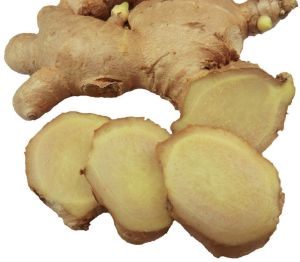 A Grade Fresh Organic Ginger