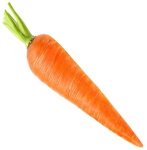 A Grade Orange Carrot
