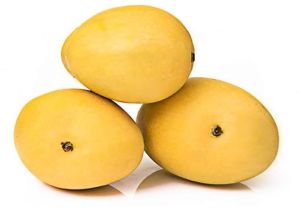 Fresh Banganapalli Mango