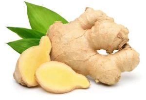 Fresh Ginger Root