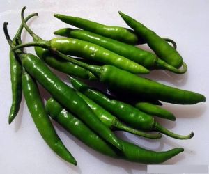 Fresh Green Chillies