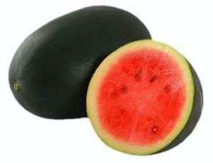 Fresh Kiran Watermelon