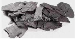 Parpati Ayurveda