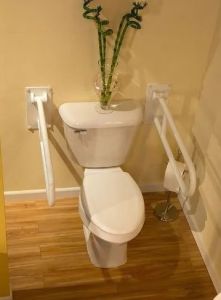 Grab Bar