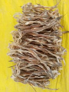 Dried Bombay Duck Fish