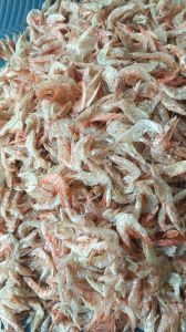 Dried Prawns Shrimp