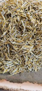 Small Dried Anchovies Fish