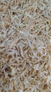 Small Dried Prawns Shrimp