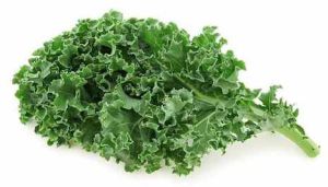 A Grade Curly Kale