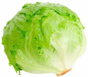 A Grade Exotic Vegetable Fresh Lettuce