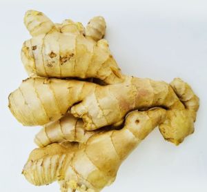A Grade Fresh Ginger