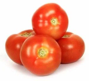 A Grade Fresh Tomato