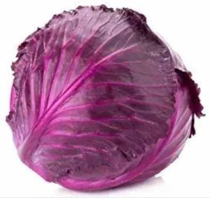 A Grade Red Cabbage
