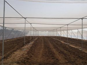 Flat Type Net House