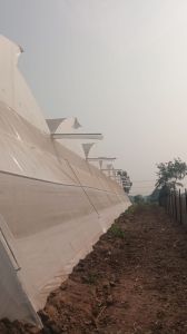 Naturally Ventilated Polyhouse