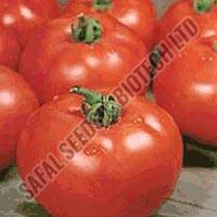 tomato seeds