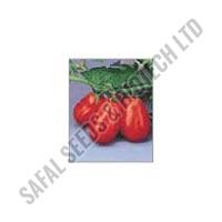 tomato seeds
