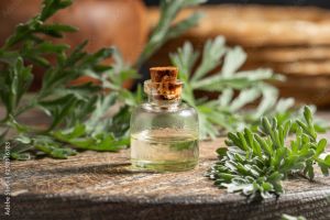 Artemisia Oil