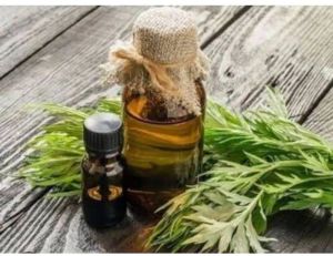 Artemisia Oil