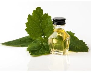 Patchouli Oil