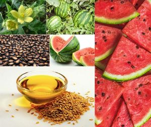 Watermelon Seed Oil