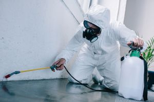Pest Control Service