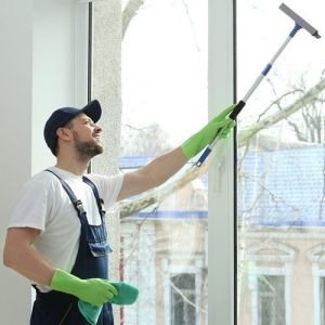 Window Cleaning Service