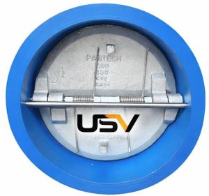 Dual Plate Check Valve