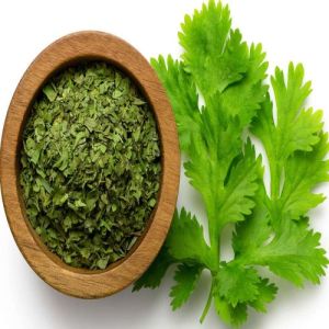 Dehydrated Coriander Leaves
