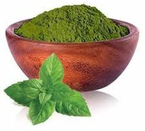 Dehydrated Pudina Leaves Powder