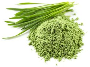 Dehydrated Wheatgrass Powder