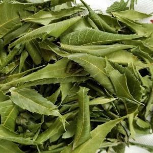Dried Neem Leaves