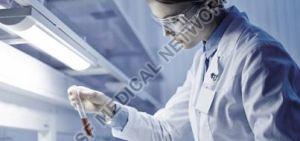 Clinical and Non Clinical Research Service