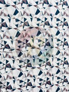 Digital Print Chiffon Fabric