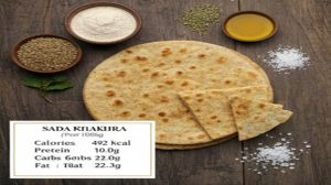 Crunchy Plain Khakhra