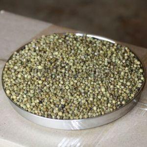 Dehydrated Green Pepper