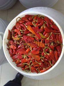 Dried Red Chilli